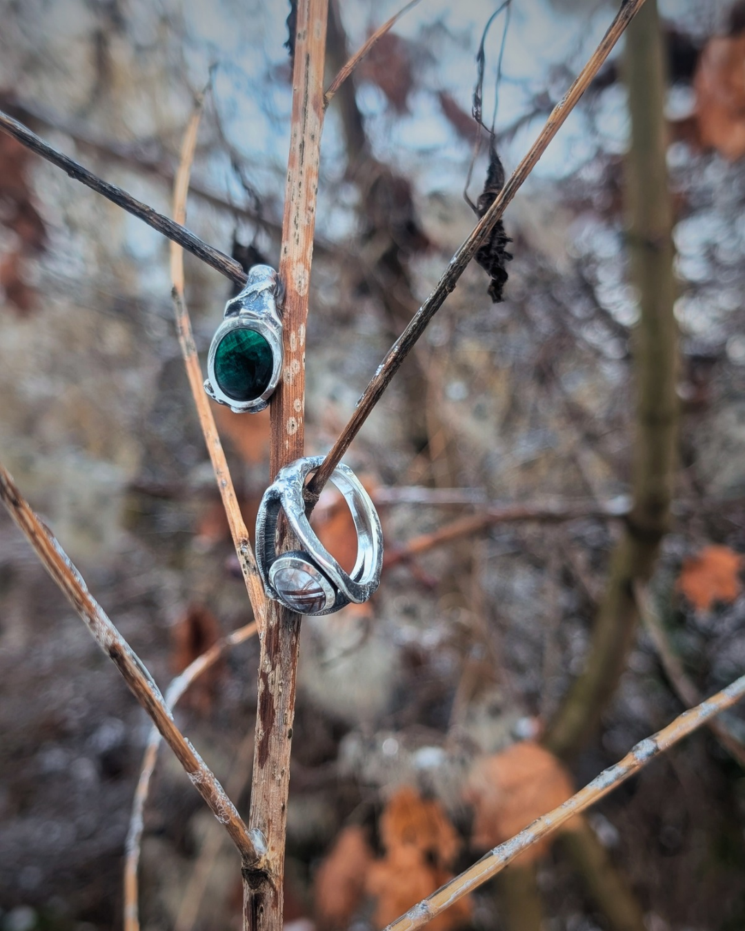 ROOTED LIFE RING by Takehiro Akasaka